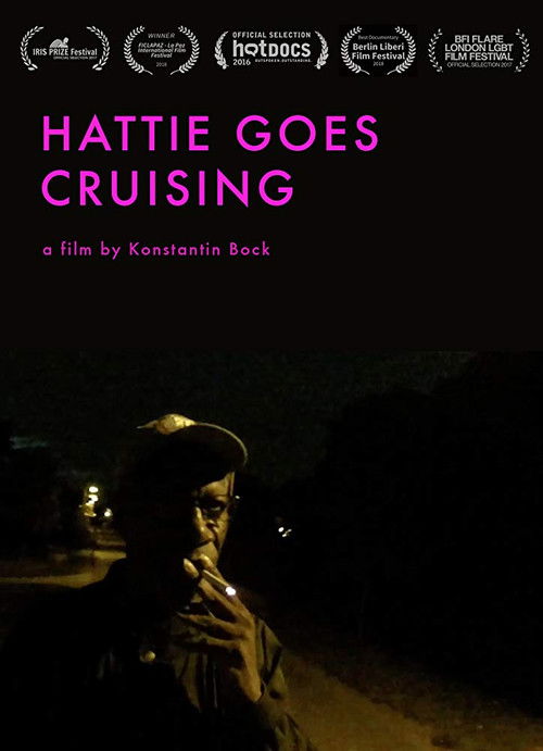 Hattie Goes Cruising (2015) poster