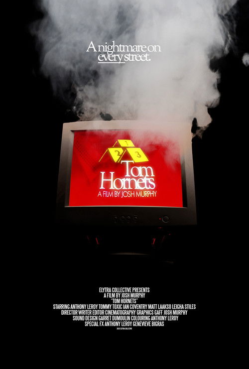 Tom Hornets (2025) poster