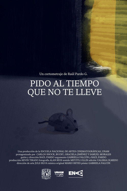 I Plead Time Does Not Take You Away (2025) poster