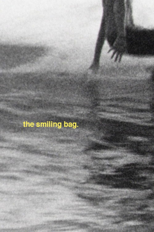 the smiling bag (2016) poster