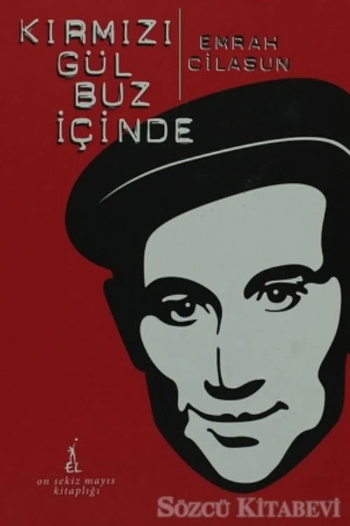 Kırmızı Gül Buz İçinde (1998) poster