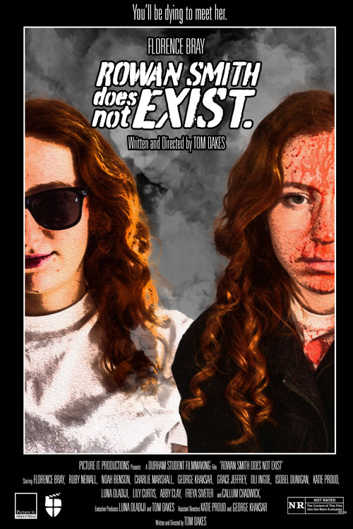 Rowan Smith Does Not Exist. (2025) poster