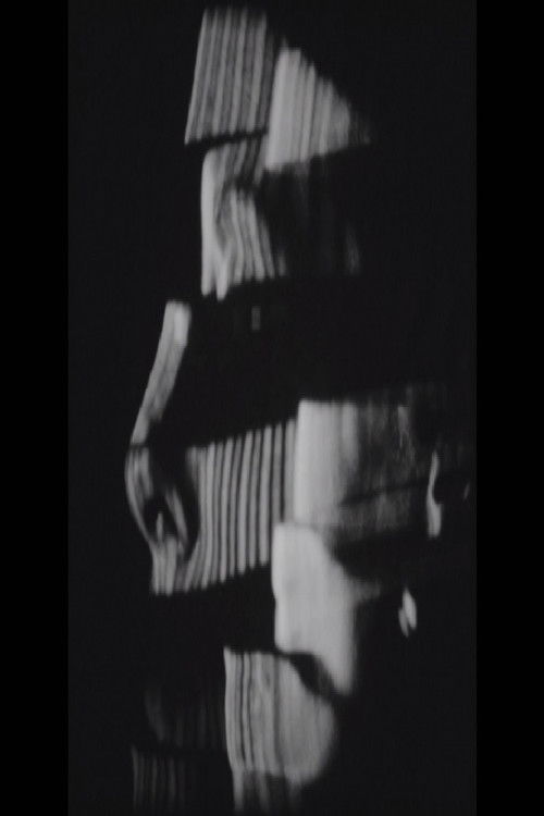 Stillness (2016) poster