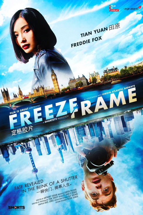 Freeze-Frame (2014) poster