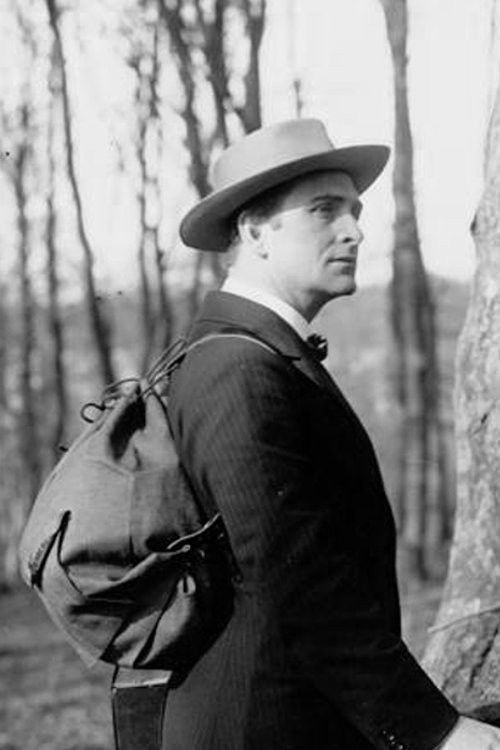 The Awakening (1913) poster