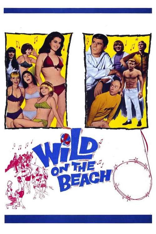 Wild on the Beach (1965) poster