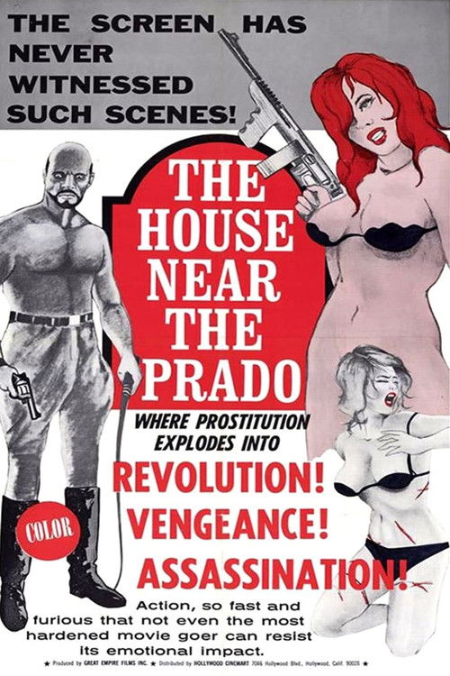 The House Near the Prado (1969) poster