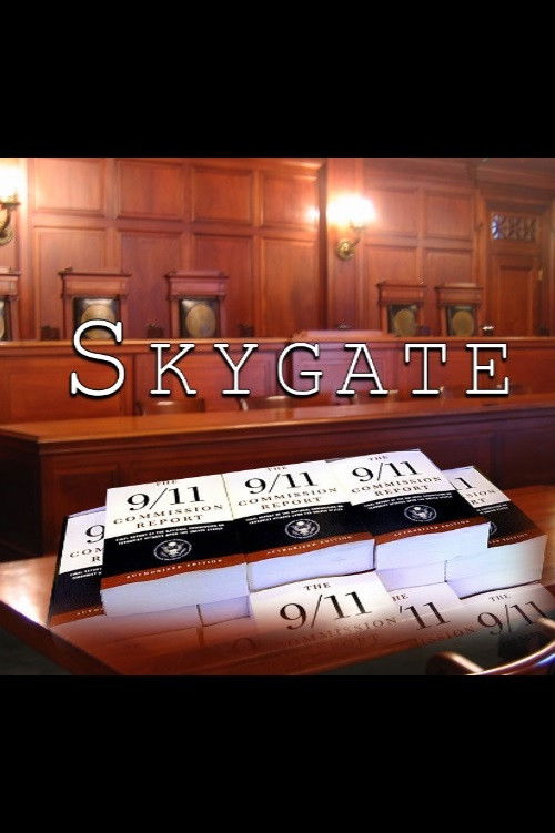Skygate 911 (2014) poster