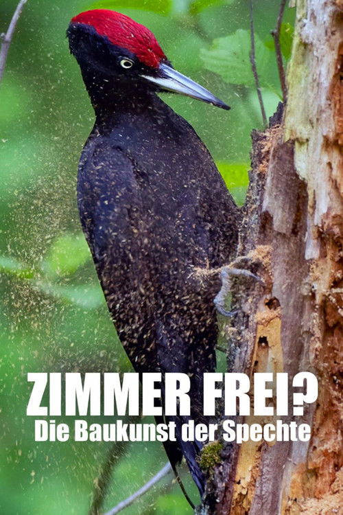 Zimmer Frei? Die Baukunst der Spechte (2022) poster