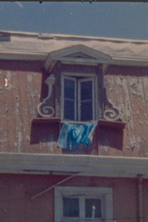 Siesta (2018) poster