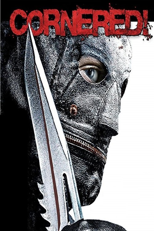 Cornered! (2009) poster