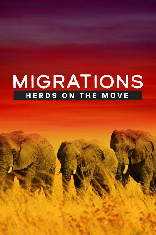 Migrations: Herds on the Move (2020) poster