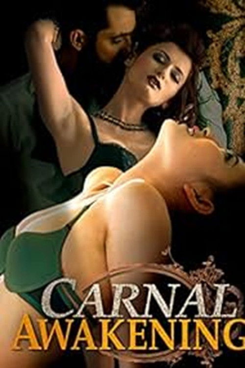Carnal Awakenings (2013) poster