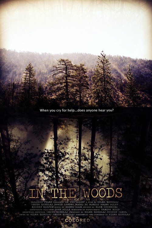 In the Woods (2010) poster