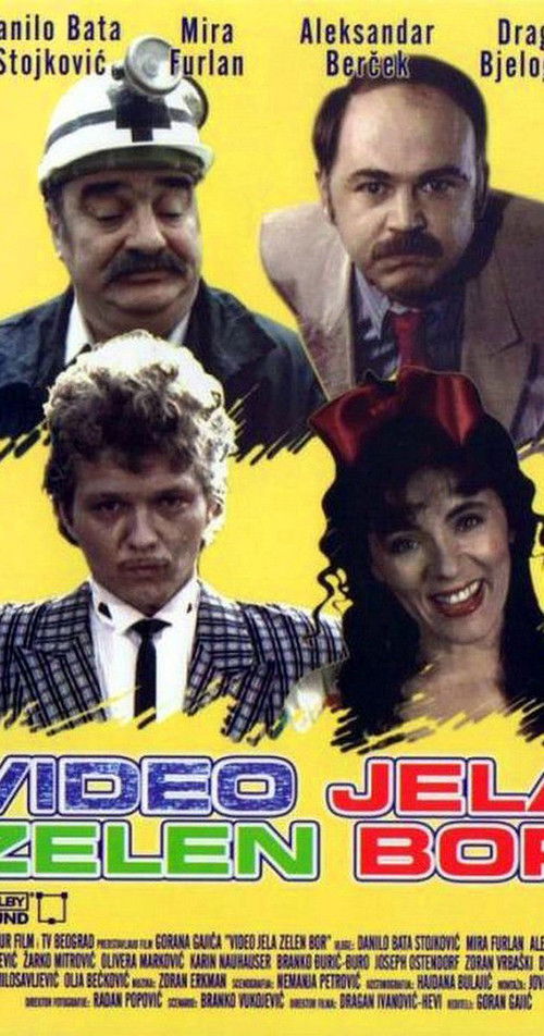 Dear Video (1991) poster