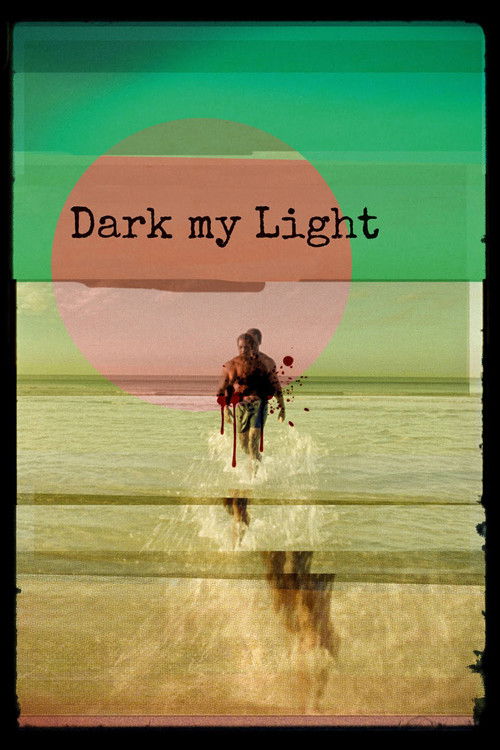 Dark My Light (2025) poster