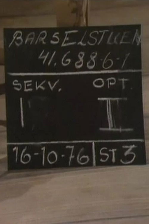Barselstuen (1976) poster