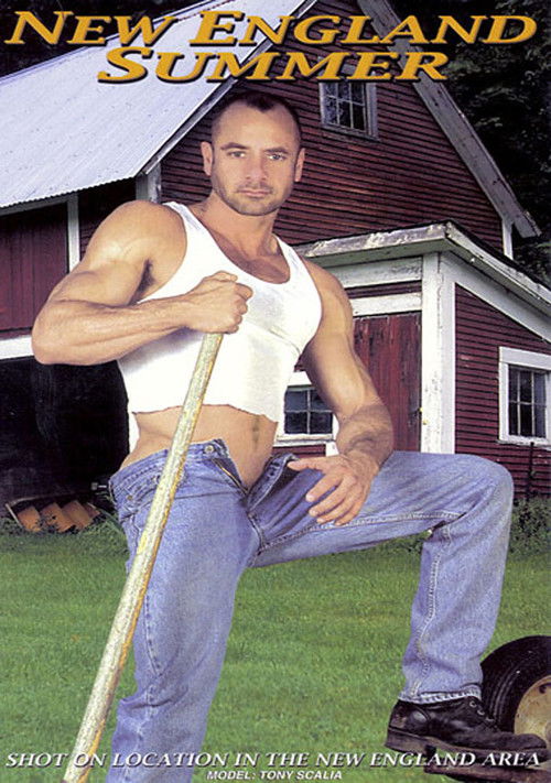 New England Summer (2002) poster