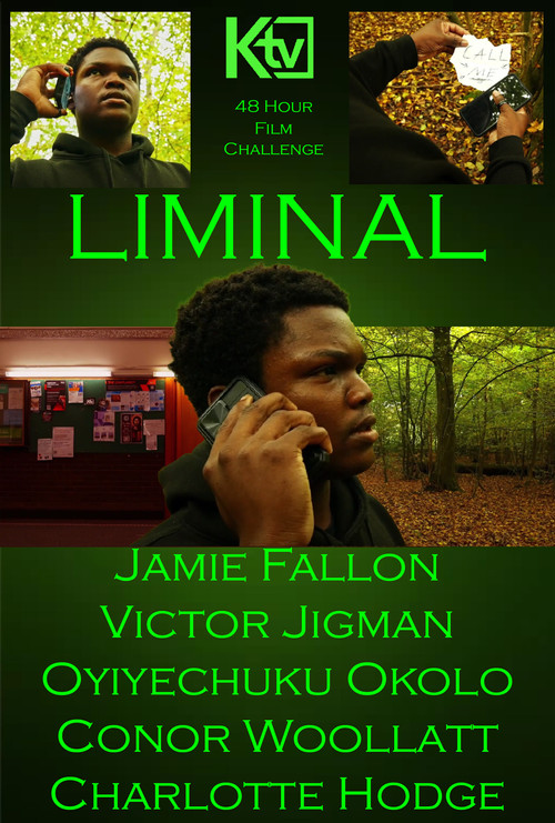 Liminal (2024) poster