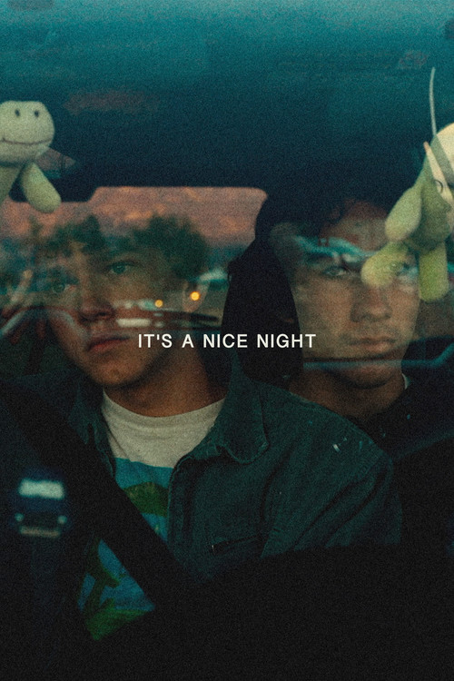 It's a Nice Night (2022) poster
