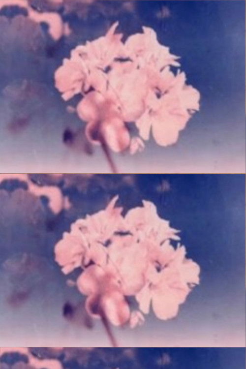 Wild Flower (2025) poster