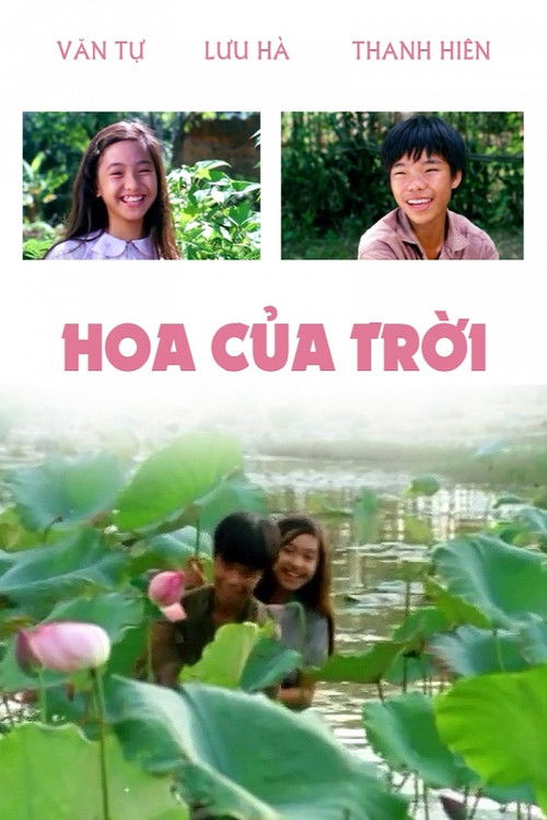 Hoa Của Trời (1995) poster