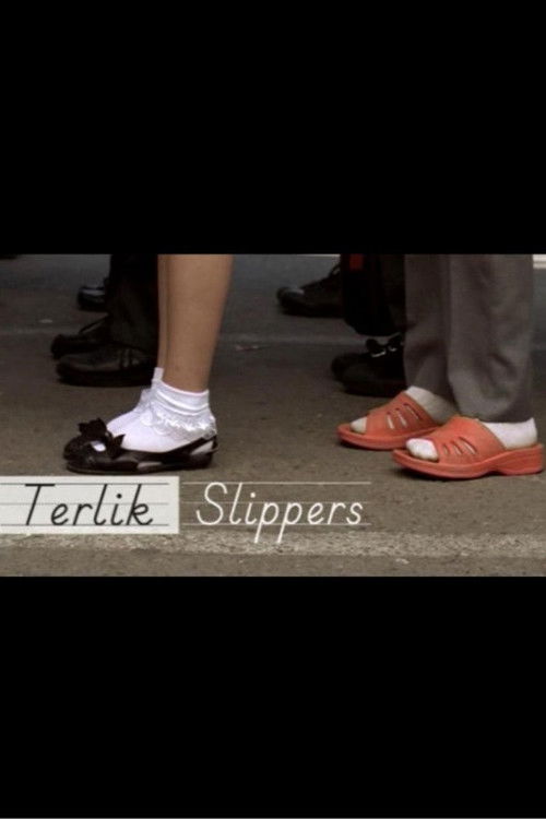 Terlik (2010) poster