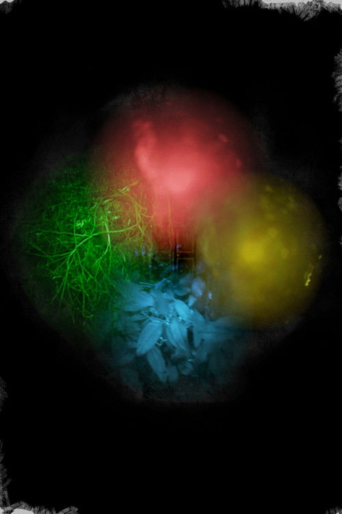 Trapallada (Saudade) (2025) poster