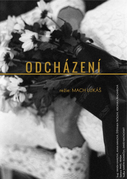 Odcházení (2019) poster