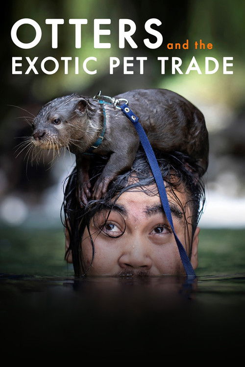 Otters and the Exotic Pet Trade (2019) poster