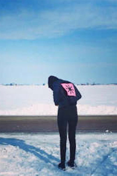 Girl Becomes Snow (2017) poster