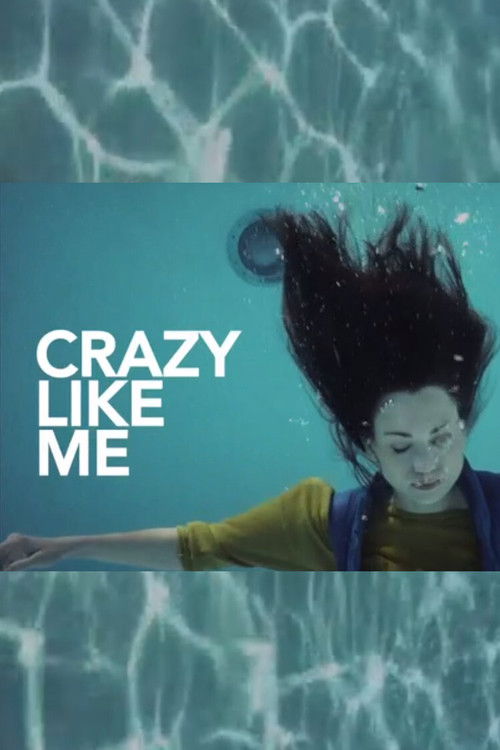 Crazy Like Me (2013) poster