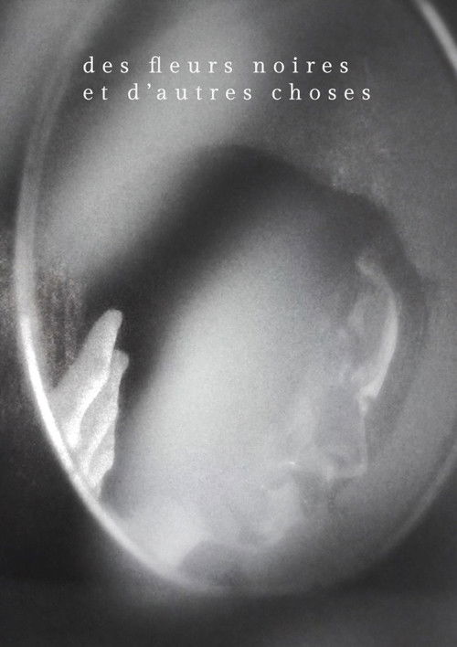 Des fleurs noires et d'autres choses poster