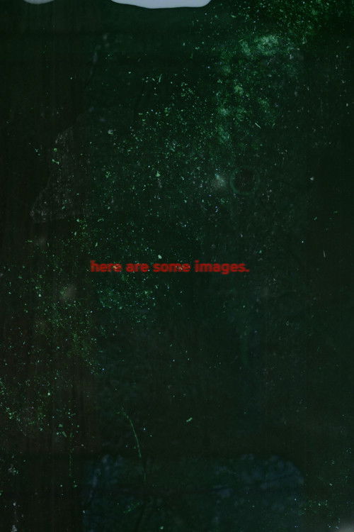 Here are some Images (2023) poster