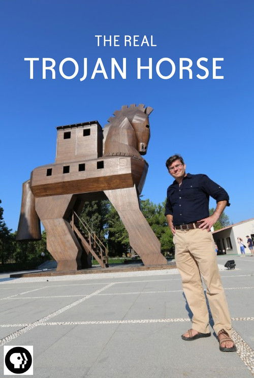 Secrets of the Dead: The Real Trojan Horse (2015) poster