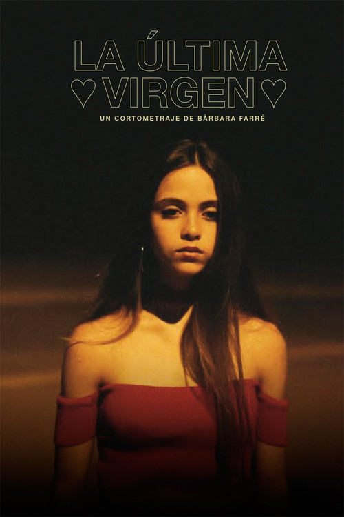 The Last Virgin (2017) poster
