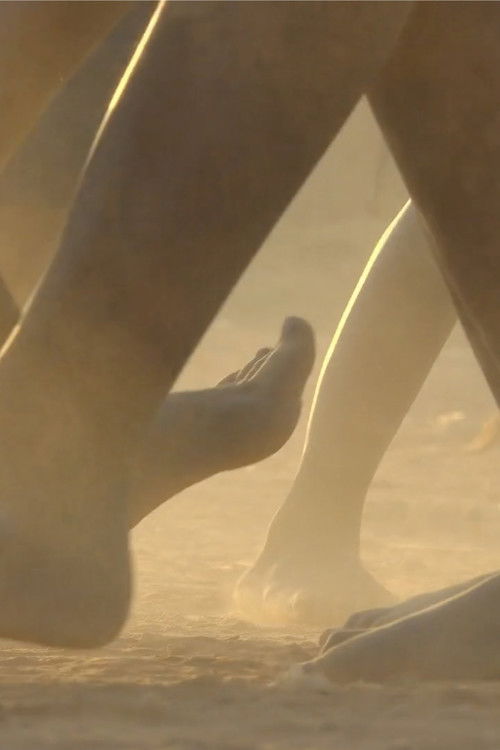 Children’s Game #28: Nzango (2021) poster