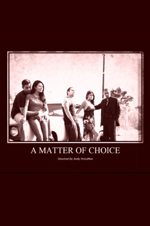 A Matter of Choice (2008) poster