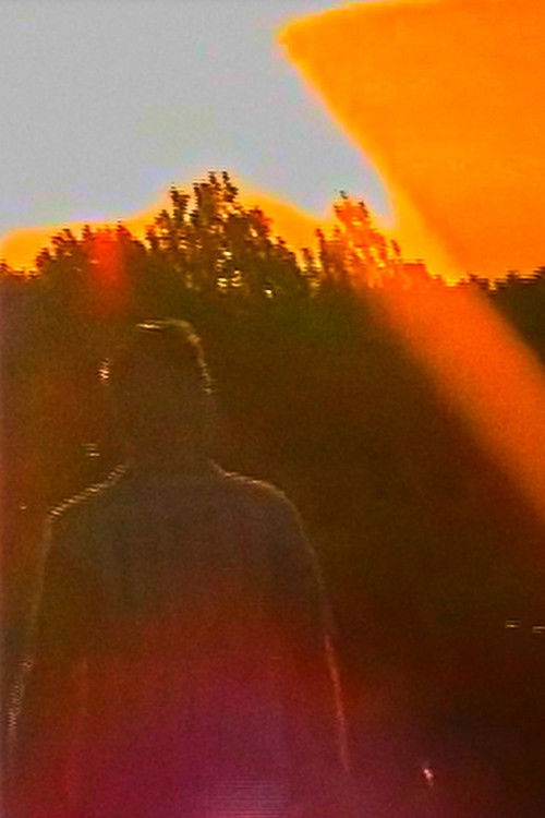 if memories fade, do feelings remain? (2024) poster