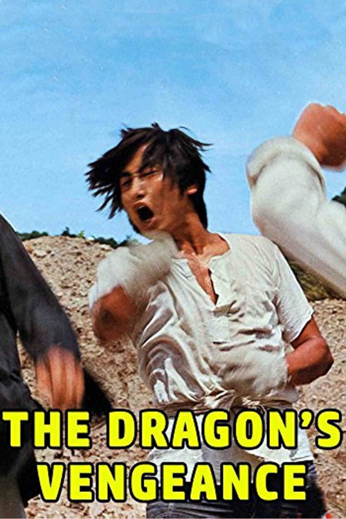 The Dragon's Vengeance (1972) poster