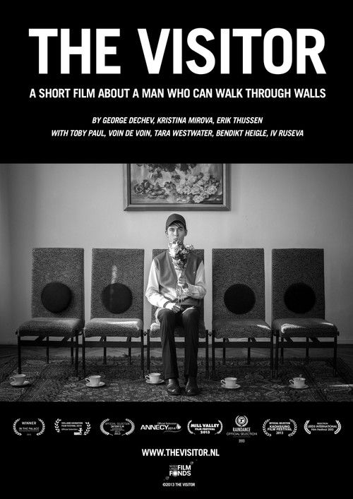 The Visitor (2013) poster