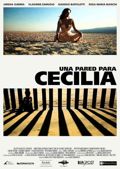 Una pared para Cecilia (2011) poster