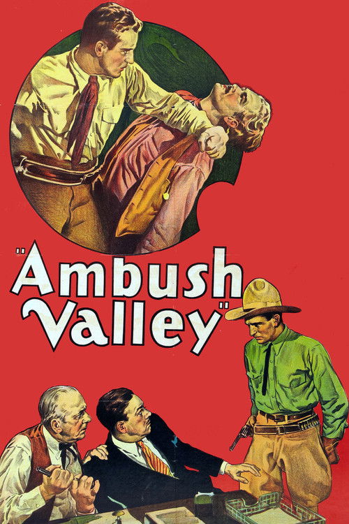 Ambush Valley (1936) poster