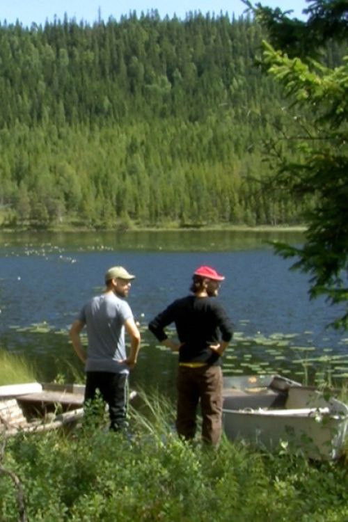 Anacos da Suecia (2014) poster