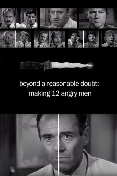 Beyond a Reasonable Doubt: Making '12 Angry Men' (2008) poster