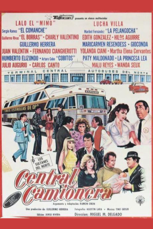 Central camionera (1988) poster