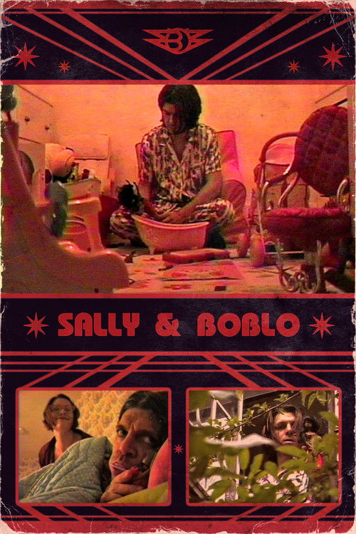 Sally & Boblo (2013) poster