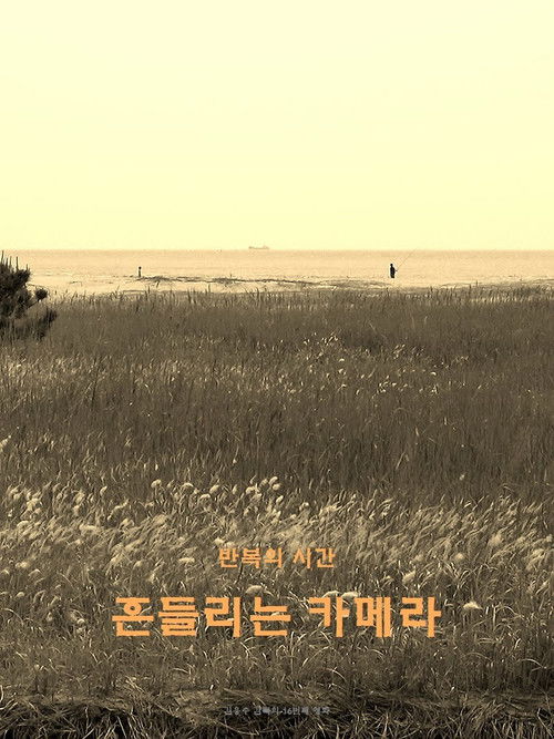 wandering camera (2020) poster