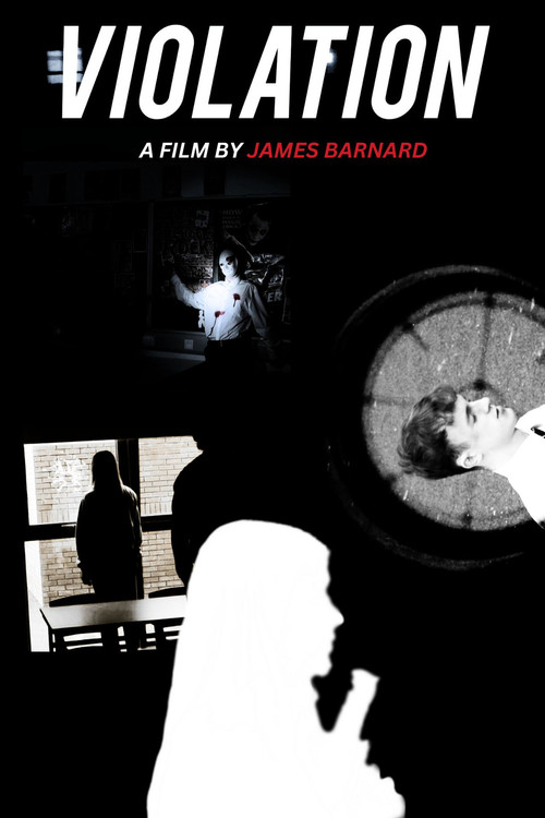 Violation (2024) poster