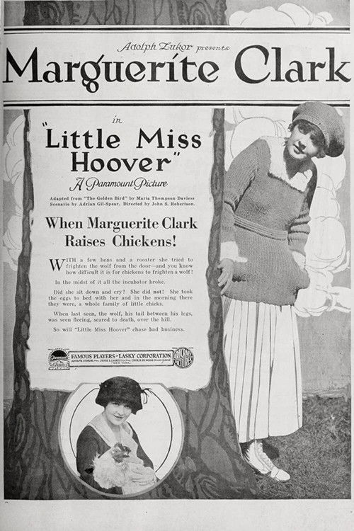 Little Miss Hoover (1918) poster